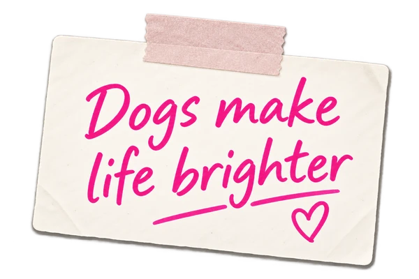 A taped handwritten note: Dogs make life brighter
